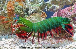 daily_picdump_1852_640_29