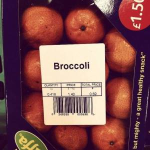 daily_picdump_1854_640_07