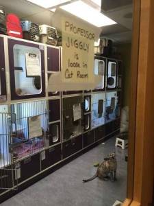 daily_picdump_1861_640_10