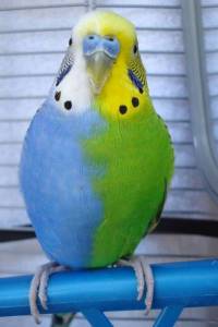 daily_picdump_1863_640_25