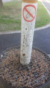 funny_picdump_1019_640_high_18