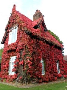 morning_picdump_762_640_28