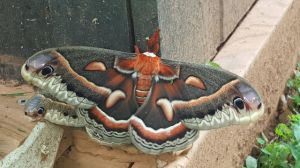 morning_picdump_763_640_53