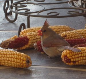 morning_picdump_765_640_52