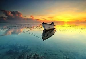 morning_picdump_767_640_32