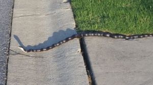 morning_picdump_767_640_51