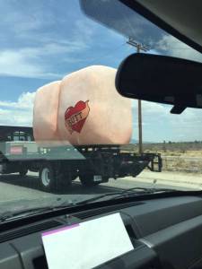 morning_picdump_775_640_26