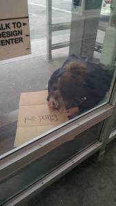 morning_picdump_775_640_41