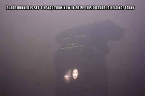 morning_picdump_778_640_28