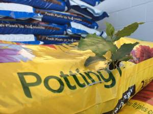 morning_picdump_782_640_41