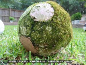 morning_picdump_782_640_46