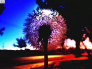 Screen Shot 2015-07-18 at 7.46.14 PM