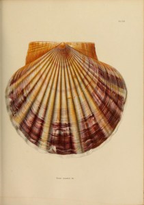 tumblr_nopl9wJUbN1rn3gulo2_500