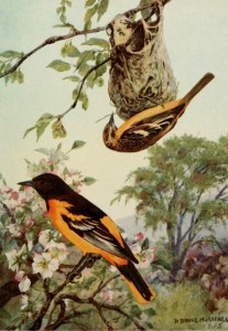 tumblr_nqjrfg1gFu1qb23uro1_500