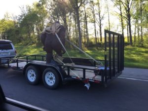 daily_picdump_1800_640_48