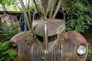 daily_picdump_1840_640_67