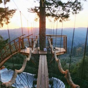 daily_picdump_1846_640_04-1