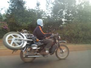 daily_picdump_1850_640_05