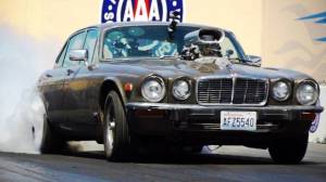 daily_picdump_1850_640_33