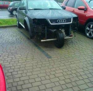 daily_picdump_1858_640_62