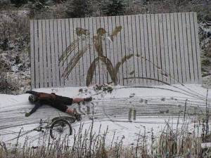 daily_picdump_1860_640_54