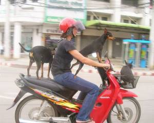 daily_picdump_1862_640_81