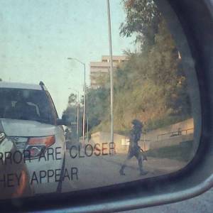 daily_picdump_1865_640_08