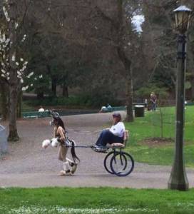 daily_picdump_1865_640_37