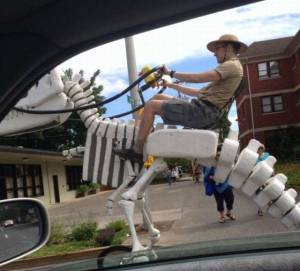 daily_picdump_1867_640_102