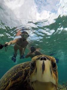 daily_picdump_1867_640_42