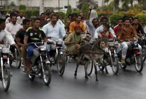 daily_picdump_1869_640_25