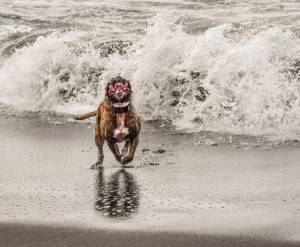 daily_picdump_1871_640_64