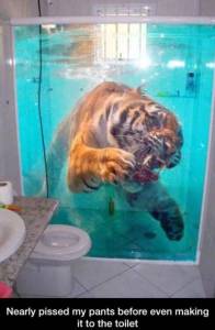 daily_picdump_1873_640_02