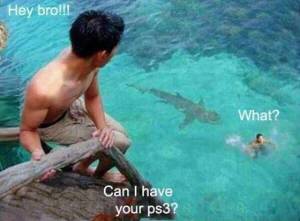 daily_picdump_1879_640_11