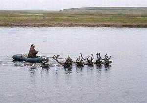 daily_picdump_1880_640_77