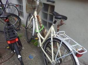 daily_picdump_1890_640_37