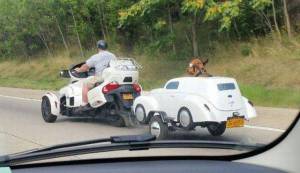 daily_picdump_1890_640_57