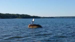 daily_picdump_1893_640_101