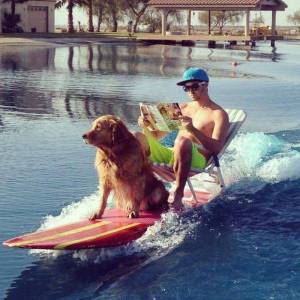 daily_picdump_1894_640_52