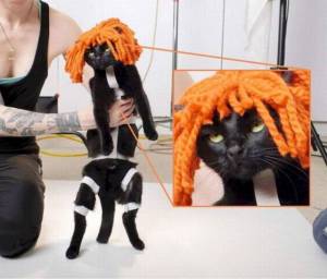 daily_picdump_1894_640_59