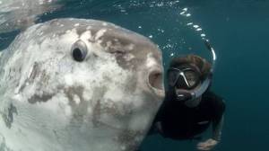 daily_picdump_1894_640_91