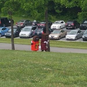 morning_picdump_763_640_49