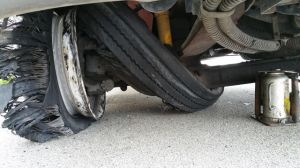 morning_picdump_768_640_33