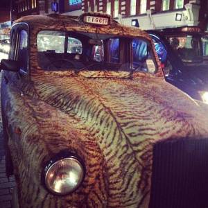 morning_picdump_775_640_32