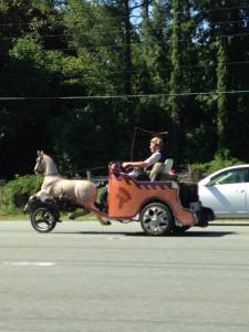 morning_picdump_775_640_34