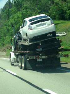 morning_picdump_776_640_02