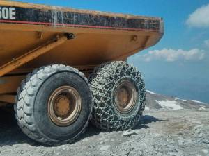 morning_picdump_778_640_18