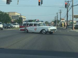 morning_picdump_778_640_42