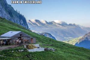 morning_picdump_782_640_45