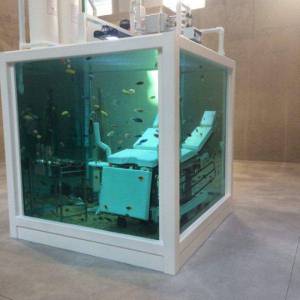 morning_picdump_783_640_18